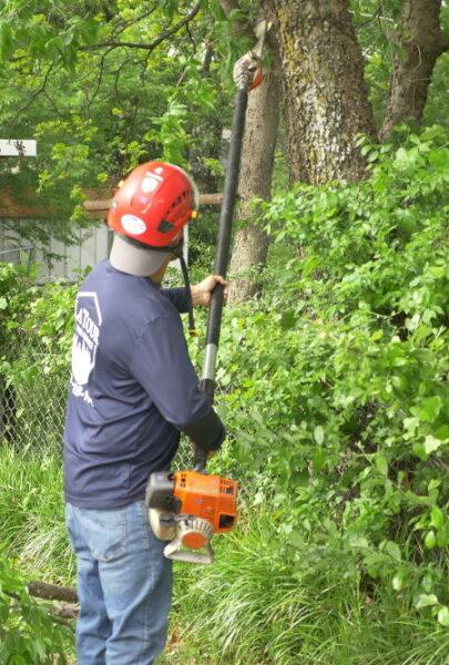 Keller Tree Pruning