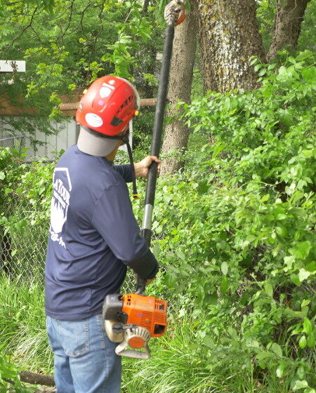 Keller Tree Pruning