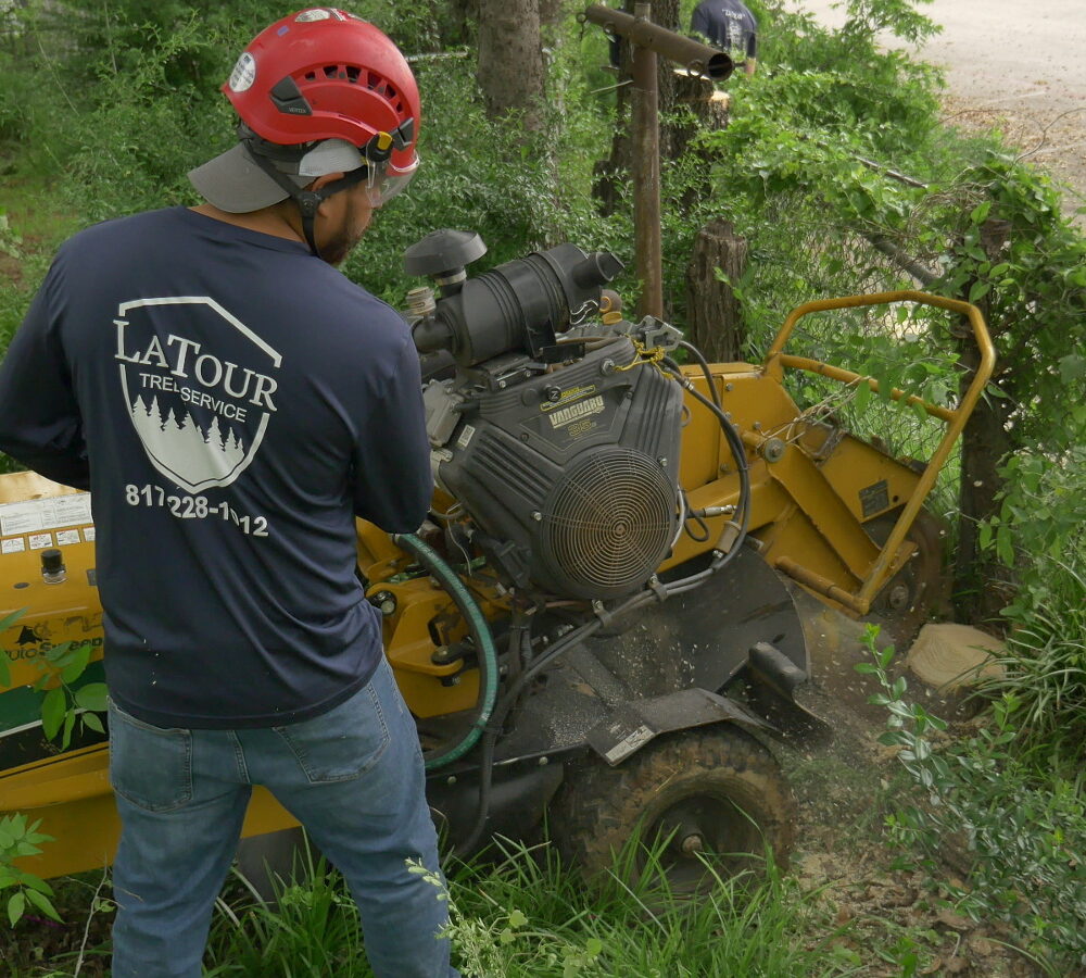 Stump Grinding in Fort Worth