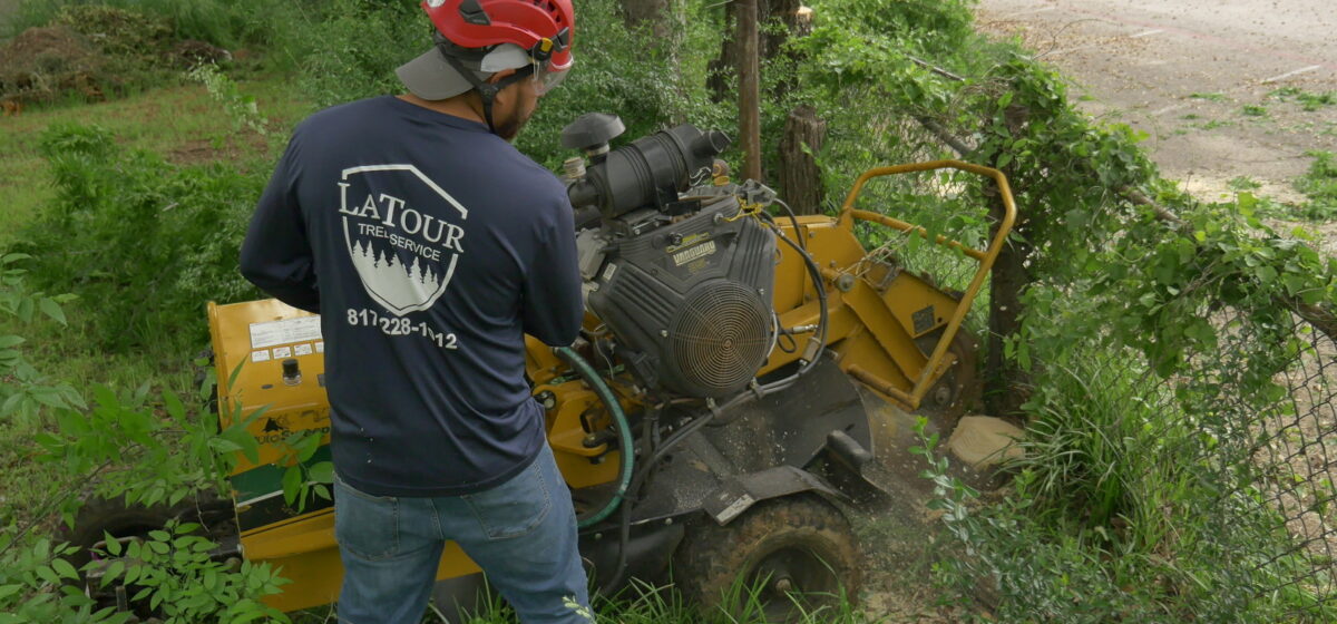 Stump Grinding in Fort Worth