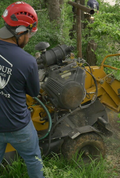 Stump Grinding in Fort Worth