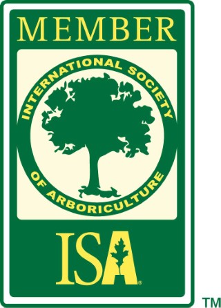 ISA Member